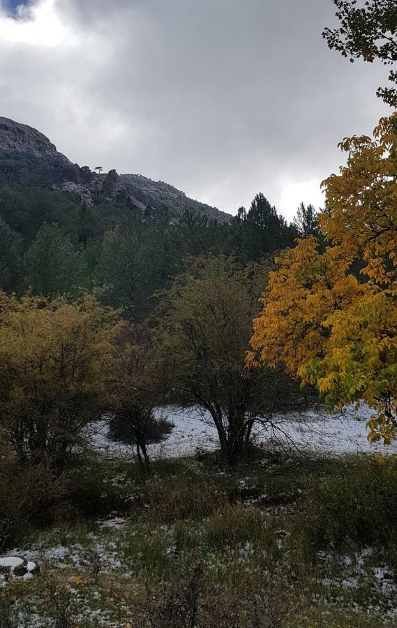 Apartmán Cazorla Centro Exteriér fotografie